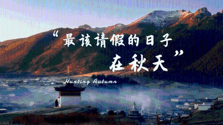 探索《谁是凶手》为什么没能成为爆款?这部悬疑剧不够好看吗?|拥有专业知识星球平台