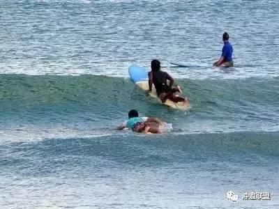 冷知识分享平台为什么有的不锈钢可以放微波炉加热呢?,让你发现更多有趣的知识!
