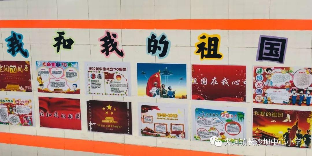 创作猫