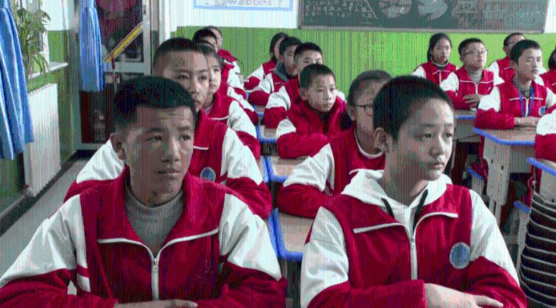 专科志愿怎么报录取几率最高-专业的问答平台